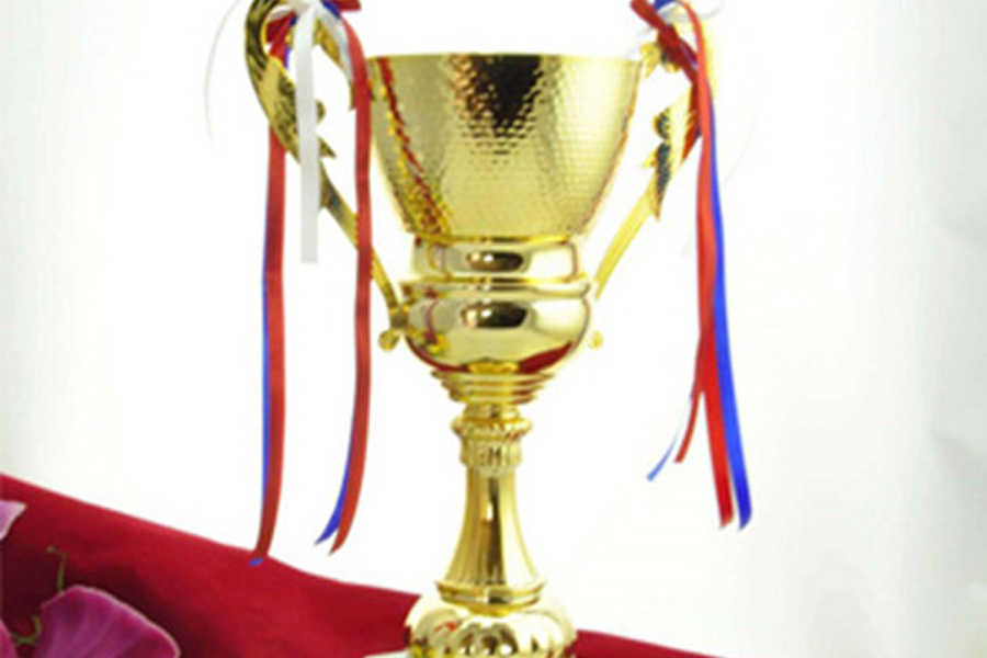 汉沽逸安园荣誉一